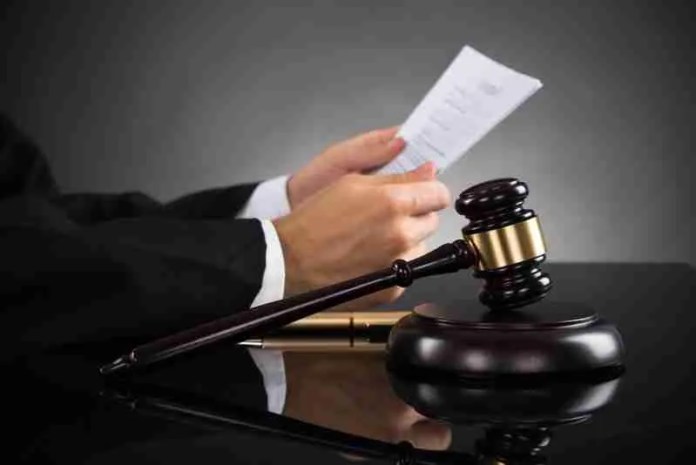 florida appeals lawyer