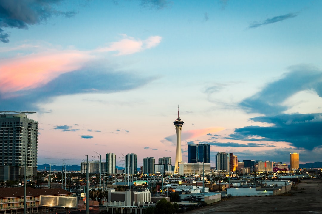 Las Vegas airport app